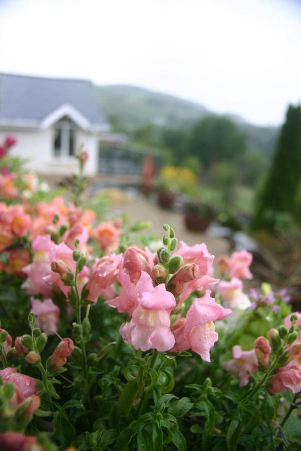 Wicklow Way Lodge Exterior foto